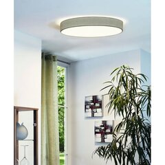 Потолочный светильник Eglo Romao 97784 цена и информация | Потолочные светильники | hansapost.ee