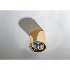 Потолочный светильник Azzardo Mane AZ4329 цена и информация | Потолочные светильники | hansapost.ee