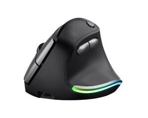 Trust Voxx 24731, черный цена и информация | Компьютерные мыши | hansapost.ee