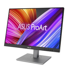 ASUS ProArt PA248CNV 90LM05K1-B03370 цена и информация | Мониторы | hansapost.ee