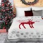 Tekk Santa, 150x200 cm hind ja info | Tekid | hansapost.ee