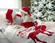 Tekk Santa, 150x200 cm hind ja info | Tekid | hansapost.ee