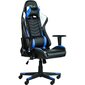 Mänguritool ByteZone Winner RGB LED valgustusega Gaming Chair sinine цена и информация | Kontoritoolid | hansapost.ee