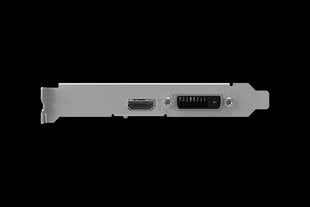 Palit GeForce GT1030 2GB GDDR4 64bit DVI+HDMI PCIe3.0 (NEC103000646-1082F) цена и информация | Palit Компьютерная техника | hansapost.ee