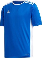 Meeste T-särk Adidas sinine hind ja info | Jalgpalli varustus ja riided | hansapost.ee