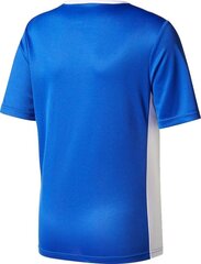 Мужская футболка Adidas, синяя цена и информация | Футбольная форма и другие товары | hansapost.ee