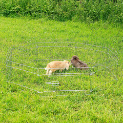 Lionto kaitseaed väikeloomadele, kõrgus 38 cm hind ja info | Koerte dresseerimiseks | hansapost.ee