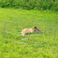 Lionto kaitseaed väikeloomadele, kõrgus 38 cm hind ja info | Koerte dresseerimiseks | hansapost.ee