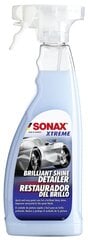 Средство для защиты и восстановления кузова автомобиля «Sonax» цена и информация | Автохимия | hansapost.ee