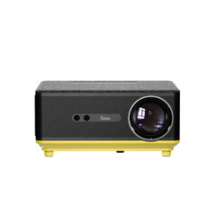 Šilelis P-5 price and information | Projectors | hansapost.ee