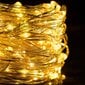 Dekoratiivne LED - valgustus цена и информация | Jõulutuled | hansapost.ee