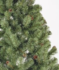 Рождественская елка Liza с шишками 2.5 м цена и информация | Новогодние елки | hansapost.ee