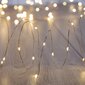 Valguskett DecoKing, 180 LED цена и информация | Jõulutuled | hansapost.ee