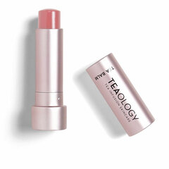 Huulepalsam Teaology Huulevärv Tee (4 g) price and information | Lip cosmetics | hansapost.ee