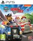 Paw Patrol: Grand Prix (PlayStation 5 game) цена и информация | Konsooli- ja arvutimängud | hansapost.ee