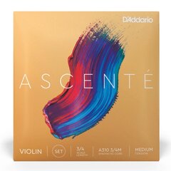 Viiulikeeled D'addario Ascente Violin 3/4 Medium A310 3/4M hind ja info | Muusikainstrumentide tarvikud | hansapost.ee