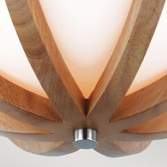 Потолочный светильник Elstead Lighting Allier FE-ALLIER-F-LW цена и информация | Потолочные светильники | hansapost.ee