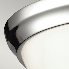 Потолочный светильник Elstead Lighting Parkman FE-PARKMAN-F-PN цена и информация | Потолочные светильники | hansapost.ee