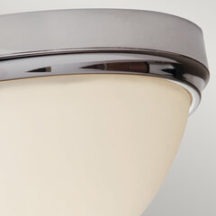 Laevalgusti Elstead Lighting Malibu FE-MALIBU-F-BATH hind ja info | Laelambid | hansapost.ee