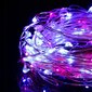Valguskett 20 LED MicroLED "Smart", roosa/sinine hind ja info | Jõulutuled | hansapost.ee