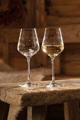 Villeroy&Boch комплект бокалов для белого вина Toy's Delight, 2 шт. цена и информация | Стаканы, фужеры, кувшины | hansapost.ee