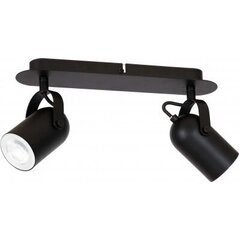 Luminex потолочный светильник Amo цена и информация | Потолочные светильники | hansapost.ee
