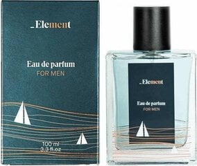 Parfüümvesi Element EDP meestele, 100 ml hind ja info | Parfüümid meestele | hansapost.ee
