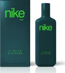 Tualettvesi Nike A Spicy Attitude EDT, 75 ml цена и информация | Мужские духи | hansapost.ee