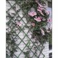 Nature aiavõre 100 x 200 cm, PVC, roheline hind ja info | Aiad, murupiirded, aiavõrgud | hansapost.ee