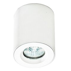 Azzardo потолочный светильник Aro White цена и информация | Потолочные светильники | hansapost.ee
