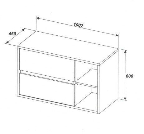 Seinale paigaldatav valamukapp, tamm Hamptron 100x60x46см HAMPTON цена и информация | Vannitoakapid | hansapost.ee