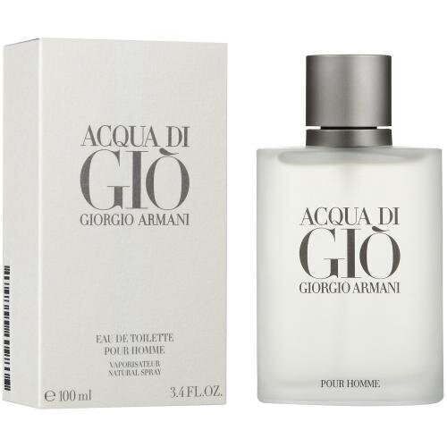 Tualettvesi Giorgio Armani Acqua Di Gio Pour Homme EDT meestele, 100ml цена и информация | Parfüümid meestele | hansapost.ee