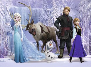 Pusle Ravensburger In the Realm of the Snow Queen, 100 d цена и информация | Пазлы | hansapost.ee