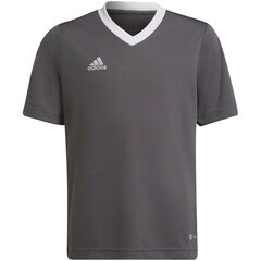 Детская футболка Adidas Entrada 22 Jsy H57499, серый цена и информация | Футбольная форма и другие товары | hansapost.ee