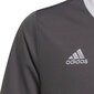 Laste T-särk Adidas Entrada 22 Jsy H57499, hall hind ja info | Jalgpalli varustus ja riided | hansapost.ee