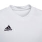 Laste T-särk Adidas Entrada 22 Jsy HC5054, valge цена и информация | Jalgpalli varustus ja riided | hansapost.ee