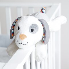 Zazu Dex Smart Dog- Soft sleep Toy with 6 Melodies and Hearbeat Sound for childrens (0 months+) hind ja info | Beebide mänguasjad | hansapost.ee