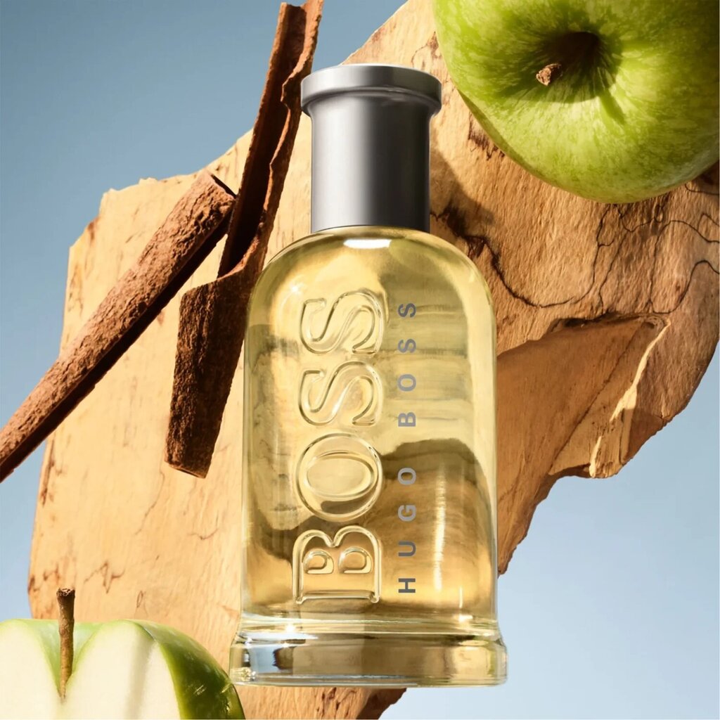 Tualettvesi Hugo Boss Boss Bottled EDT meestele, 100 ml цена и информация | Parfüümid meestele | hansapost.ee