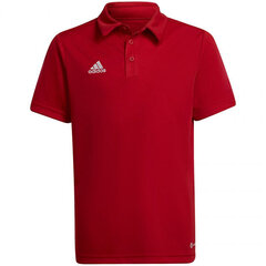 Polo laste T-särk Adidas Entrada 22 H57495, punane hind ja info | Jalgpalli varustus ja riided | hansapost.ee