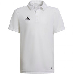 Polo laste T-särk Adidas Entrada 22 HC5059, valge hind ja info | Jalgpalli varustus ja riided | hansapost.ee