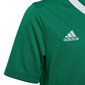 Laste T-särk Adidas Entrada 22 Jersey HI2126, roheline hind ja info | Jalgpalli varustus ja riided | hansapost.ee