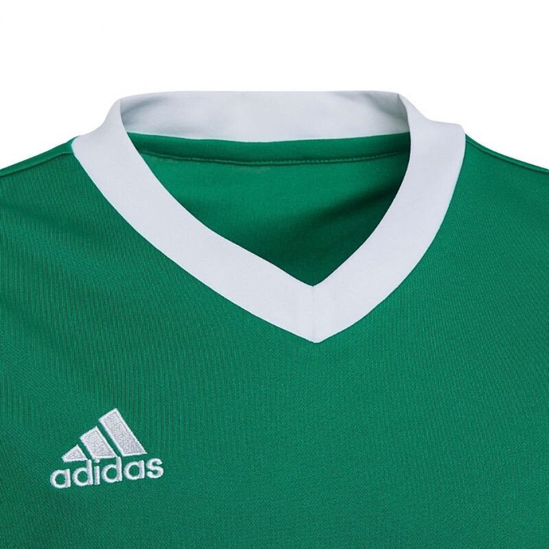 Laste T-särk Adidas Entrada 22 Jersey HI2126, roheline цена и информация | Jalgpalli varustus ja riided | hansapost.ee