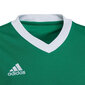 Laste T-särk Adidas Entrada 22 Jersey HI2126, roheline hind ja info | Jalgpalli varustus ja riided | hansapost.ee