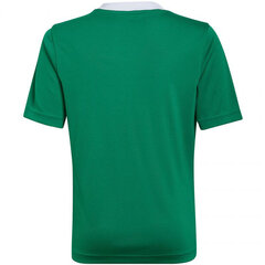 Детская футболка Adidas Entrada 22 Джерси HI2126, зеленый цена и информация | Футбольная форма и другие товары | hansapost.ee