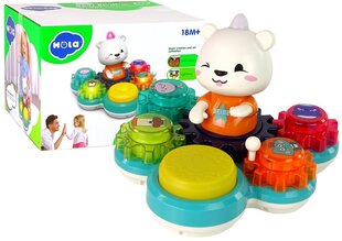 Interaktiivne arendav mänguasi Karu цена и информация | Игрушки для малышей | hansapost.ee