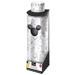 Roostevabast terasest joogipudel Disney Mickey: 515ml hind ja info | Joogipudelid | hansapost.ee