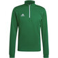 Meeste dressipluus Adidas Entrada 22 HI2129, roheline hind ja info | Jalgpalli varustus ja riided | hansapost.ee