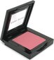 Puuder põsepuna Bobbi Brown Blush, 3,7 g, 11 Nectar цена и информация | Päikesepuudrid ja põsepunad | hansapost.ee