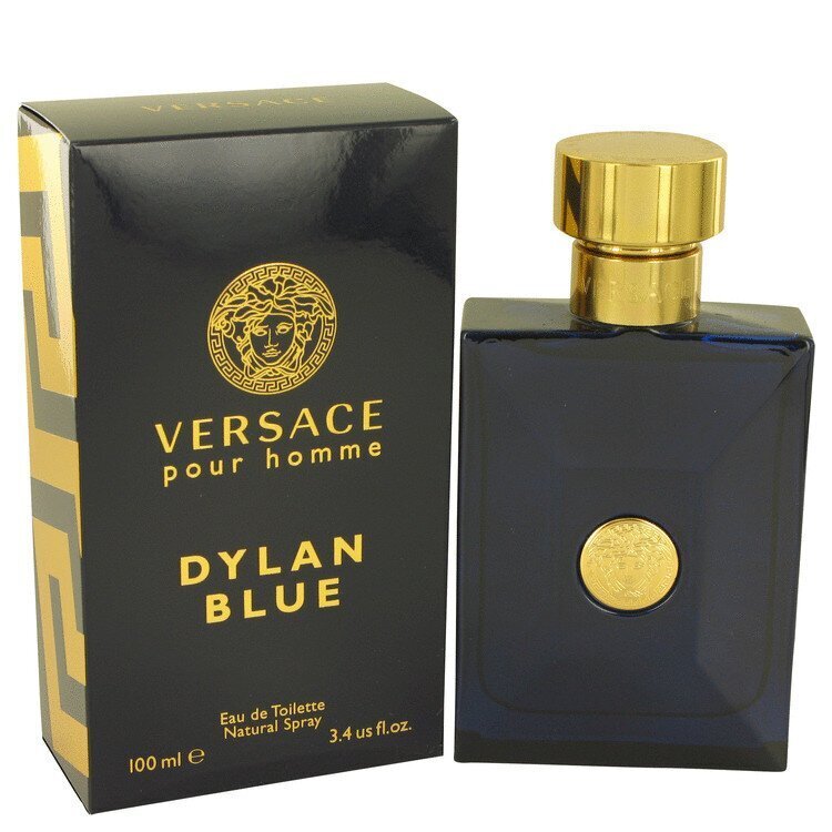Versace Pour Homme Dylan Blue EDT meestele 100 ml hind ja info | Parfüümid meestele | hansapost.ee