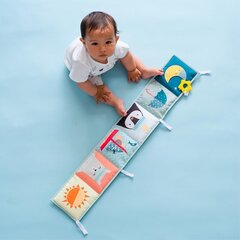 Развивающая книжка TAF TOYS Северный полюс цена и информация | Taf Toys Товары для детей и младенцев | hansapost.ee